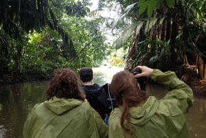 Tortuguero: Passeio de canoa e observação da vida selvagem
