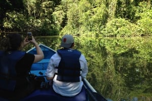 Tortuguero: Excursión en canoa y avistamiento de fauna