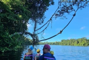 Tortuguero: Tuguero: Kanoottiretki Costa Rican Amazoneilla.