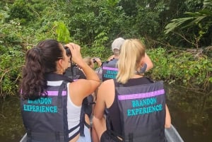 Tortuguero: Tuguero: Kanoottiretki Costa Rican Amazoneilla.