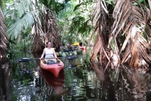 Tortuguero: Kanoën in Tortuguero Nationaal Park