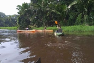 Tortuguero: Kanottur i Tortugueros nationalpark