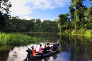 Tortuguero: Canoe tour in Tortuguero National Park