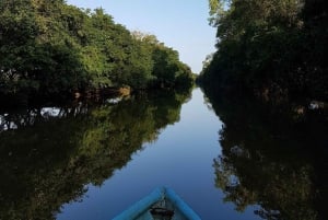 Tortuguero: Canoe tour in Tortuguero National Park
