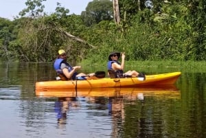 Tortuguero: Canoe tour in Tortuguero National Park