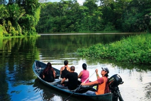 Tortuguero: passeio de canoa, tour noturno e tour no morro