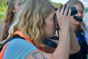 Tortuguero: Pacote de passeio de canoa e passeio noturno na selva.