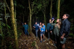 Tortuguero: Pacote de passeio de canoa e passeio noturno na selva.