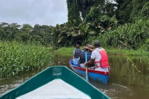 Tortuguero: Pacote de passeio de canoa e passeio noturno na selva.