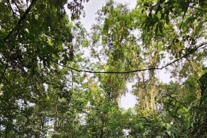 Tortuguero: Passeio de canoa pela Amazónia costa-riquenha.