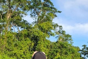 Tortuguero: Passeio de canoa pela Amazónia costa-riquenha.