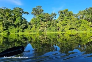 Tortuguero: Passeio de canoa pela Amazónia costa-riquenha.