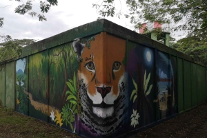 Tortuguero: Day walk in Tortuguero National Park (Jaguar)