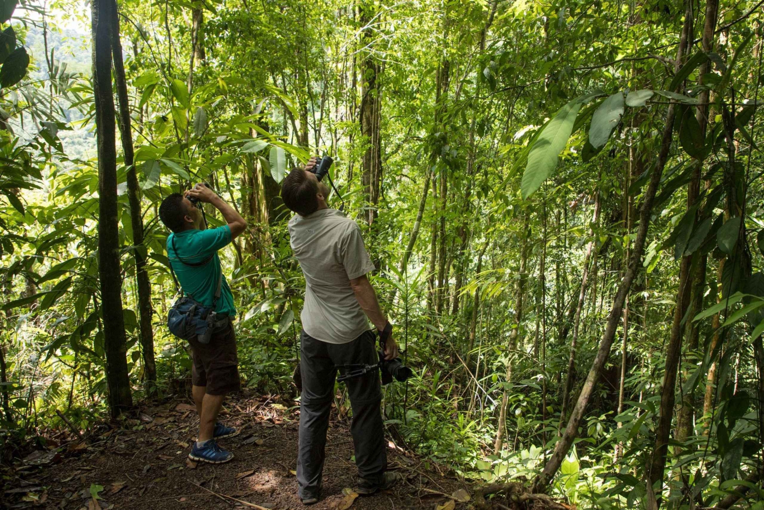 Tortuguero: Caminhada de um dia no Parque Nacional Tortuguero