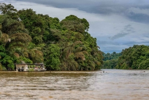 Tortuguero: Rondleidingen en wandelingen met gids