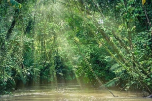 Tortuguero: Rondleidingen en wandelingen met gids