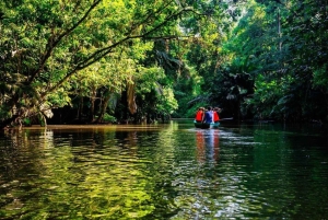 Tortuguero: Rondleidingen en wandelingen met gids