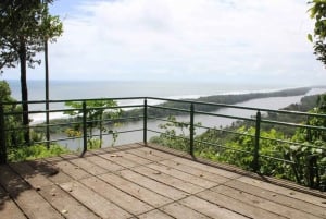 Tortuguero: wędrówka szlakiem Cerro Tortuguero