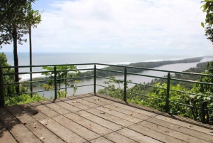 Tortuguero : Randonnée sur le sentier Cerro Tortuguero