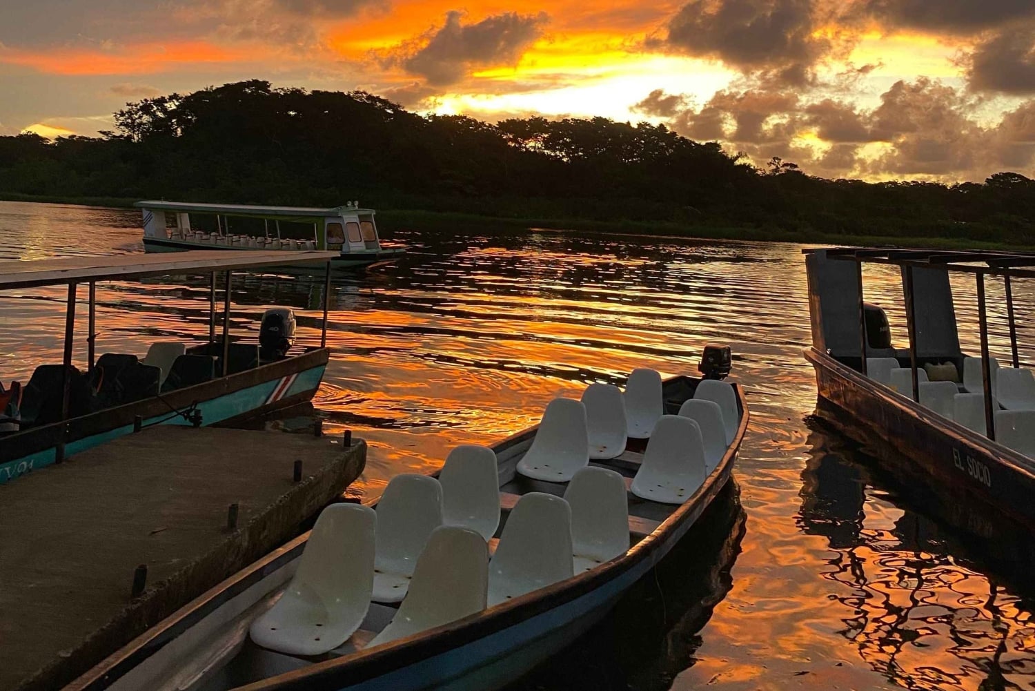 Tortuguero: History, culture, and a nature walk to discover the wildlife