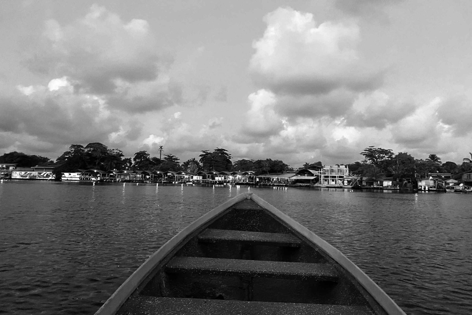 Tortuguero: History, culture, and a nature walk to discover the wildlife