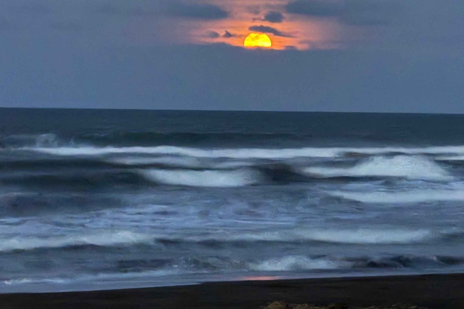 Tortuguero: History, culture, and a nature walk to discover the wildlife