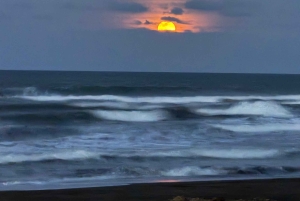 Tortuguero: History, culture, and a nature walk to discover the wildlife