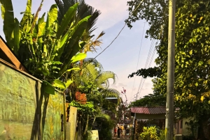 Tortuguero: History, culture, and a nature walk to discover the wildlife