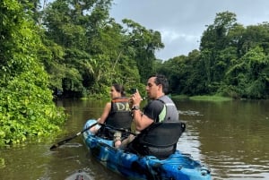 Tortuguero: Kajakkeventyr gjennom regnskogens kanaler.