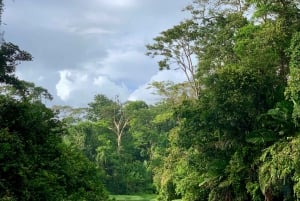 Tortuguero: Kajakkeventyr gjennom regnskogens kanaler.