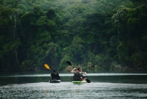 Tortuguero: Kajakkeventyr gjennom regnskogens kanaler.