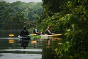 Tortuguero: Kajakkeventyr gjennom regnskogens kanaler.