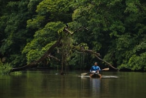 Tortuguero: Kajakkeventyr gjennom regnskogens kanaler.