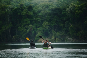 Tortuguero: Kayak adventure through the rainforest canals.