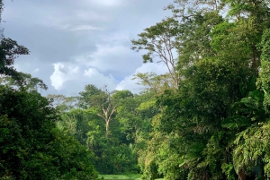 Tortuguero: Kajakowa przygoda przez kanały lasu deszczowego.