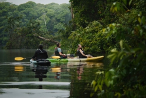 Tortuguero: Kajakowa przygoda przez kanały lasu deszczowego.