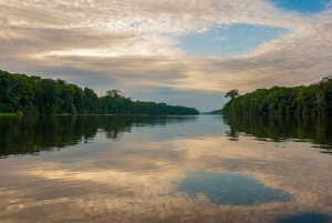 Tortuguero: Kajakowa przygoda przez kanały lasu deszczowego.