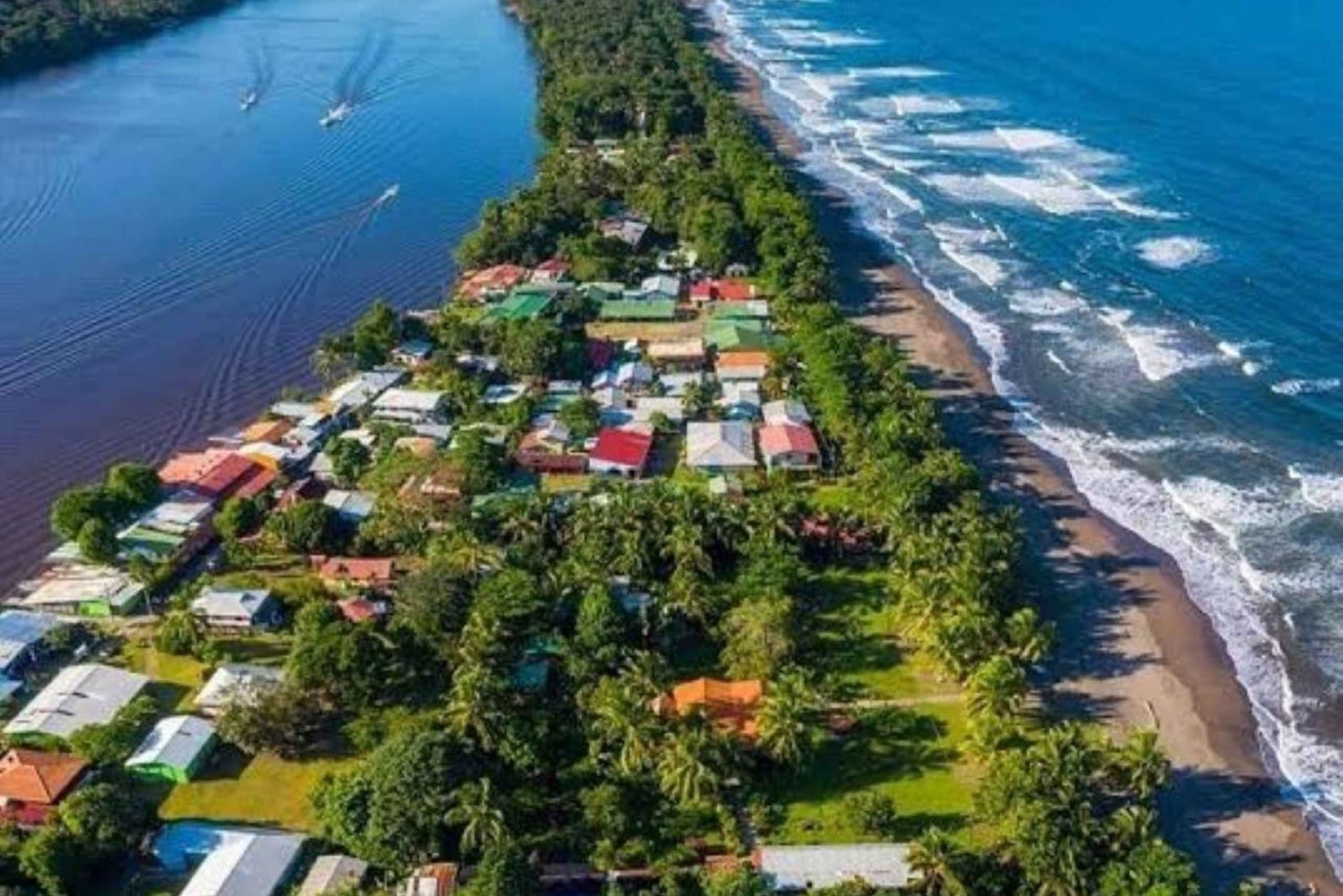 Tortuguero: La Fortuna transfer med båt och djurliv