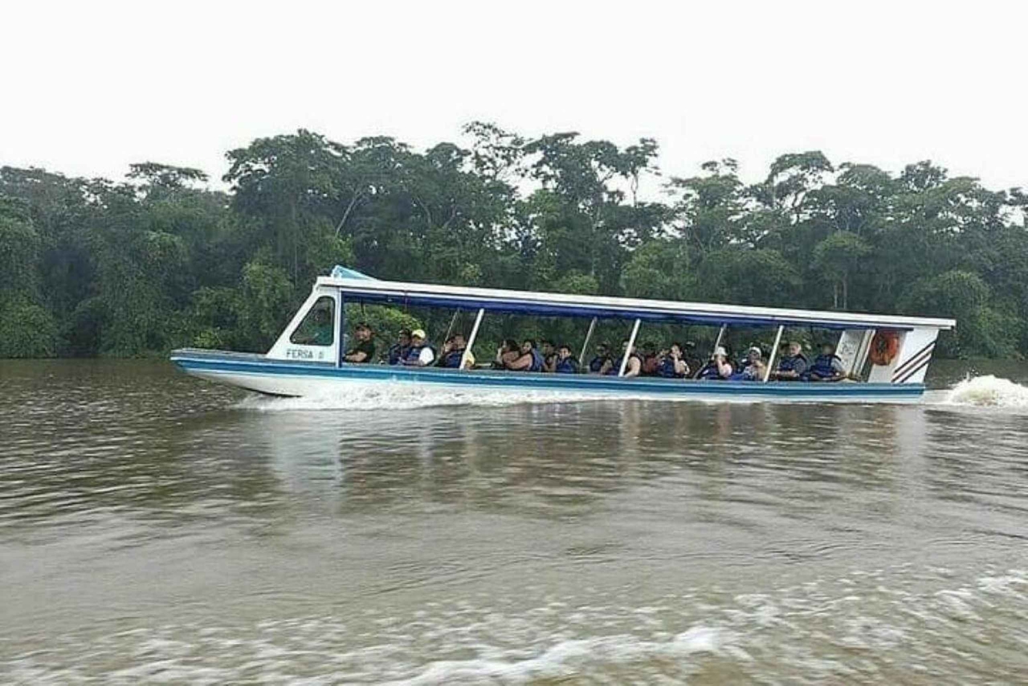 Tortuguero: La Fortuna transfer med båt och djurliv