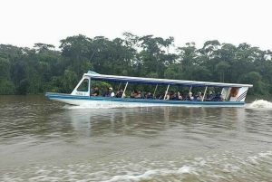 Tortuguero: La Fortuna transfer med båt och djurliv