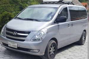 Tortuguero: La Fortuna transfer med båt och djurliv