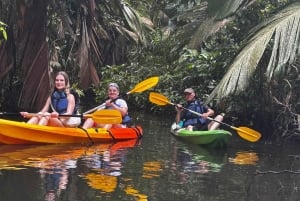 Tortuguero: Mystische Kajaktour im Nationalpark