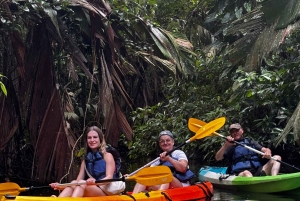 Tortuguero: Mystische Kajaktour im Nationalpark