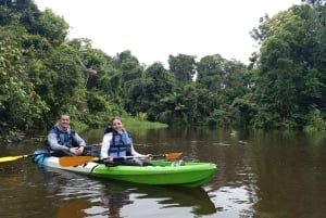 Tortuguero: Mystische Kajaktour im Nationalpark