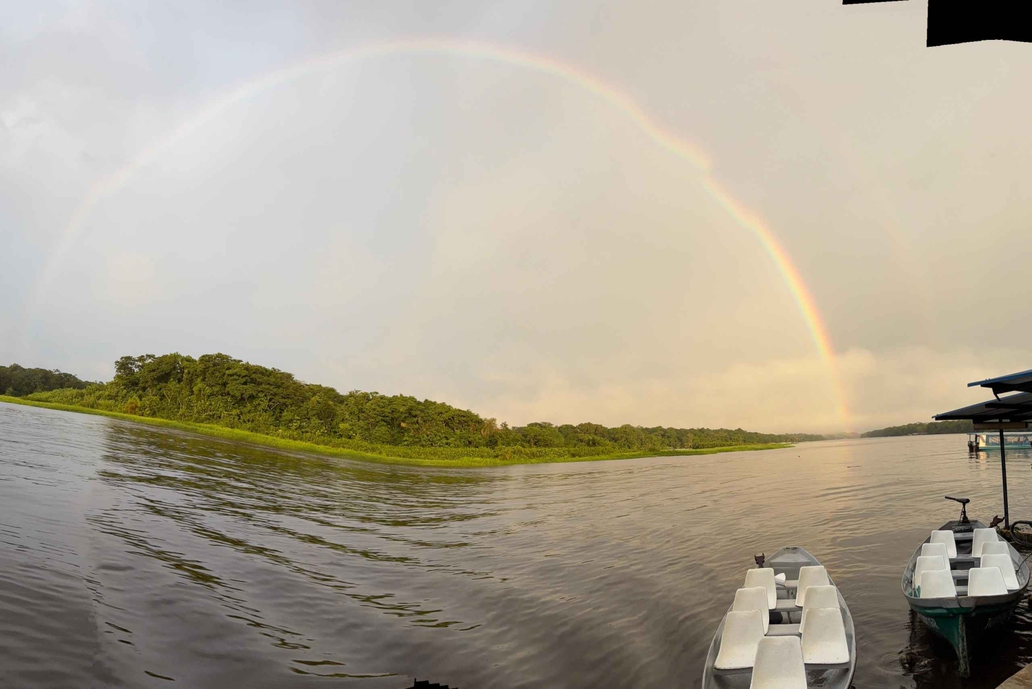 Tortuguero Mystical Silent Wildlife Waterway Tour
