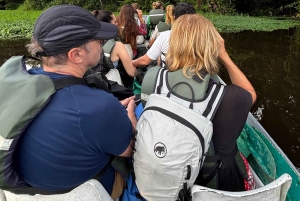 Tortuguero Mystical Silent Wildlife Waterway Tour