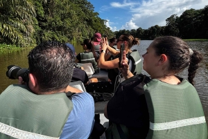 Tortuguero Mystical Silent Wildlife Waterway Tour