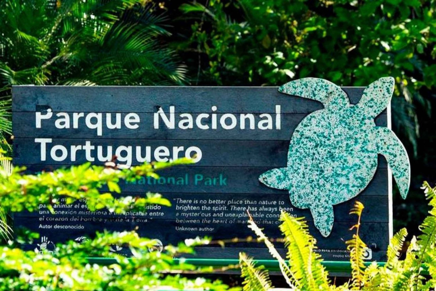 Tortugueron kansallispuisto: Tortuguero Park Park Park: Parhaat asiat Tortuguerossa