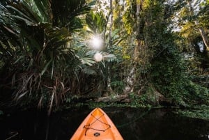 Tortuguero National Park: Best Things to Do in Tortuguero