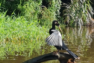 Parque Nacional de Tortuguero: passeio de canoa com motor elétrico